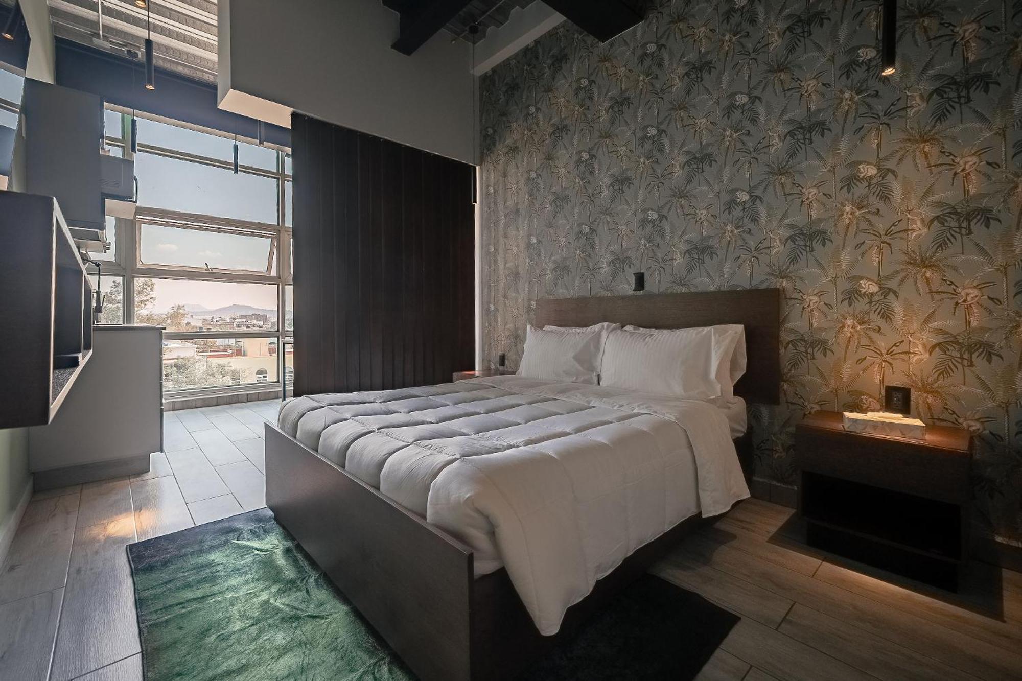 The Jungle Loft Tropical Comfort In A Centric Location With Kitchen Mexico City Luaran gambar